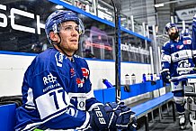 Eishockey, Herren, DEL, Penny DEL, Saison 2023-2024, Straubing Tigers, öffentliches Eistraining,06.08.2023