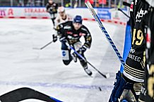 Eishockey, Herren, Penny DEL, 24. Spieltag, Saison 2023-2024, Straubing Tigers - Grizzlys Wolfsburg,03.12.2023