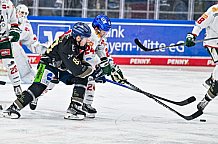 Eishockey, Herren, Penny DEL, 34. Spieltag, Saison 2023-2024, Straubing Tigers - Augsburger Panther,03.01.2024