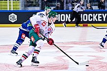 Eishockey, Herren, CHL, Champions Hockey League, Saison 2022-2023, Achtelfinale, Straubing Tigers - Frölunda HC Göteborg, Rückspiel, 22.11.2022