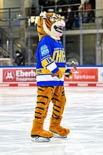 Eishockey, Herren, DEL, Saison 2021-2022, 49. Spieltag, Straubing Tigers - EHC Red Bull München,  27.02.2022