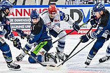 Eishockey, Herren, Penny DEL, Playoffs, Viertelfinale, Spiel 7, Saison 2023-2024, Straubing Tigers - Schwenninger Wild Wings,30.03.2024