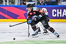 Eishockey, Men, CHL, Champions Hockey League, Regular Saison 2024-25, Game Day 1, Straubing Tigers - SonderjyskE Vojens, 06.09.2024