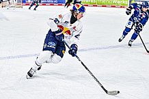 Eishockey, Men, DEL, Penny DEL, Hauptrunde Saison 2024-25, 4. Spieltag, Straubing Tigers - EHC Red Bull München, 29.09.2024