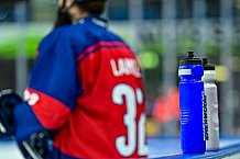 Eishockey, Herren, Penny DEL, 11. Spieltag, Saison 2023-2024, Straubing Tigers - Koelner Haie,15.10.2023