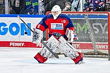 Eishockey, Herren, Penny DEL, 47. Spieltag, Saison 2023-2024, Straubing Tigers - Koelner Haie,18.02.2024