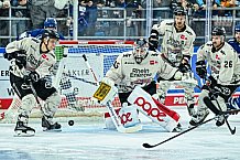 Eishockey, Herren, Penny DEL, 11. Spieltag, Saison 2023-2024, Straubing Tigers - Koelner Haie,15.10.2023