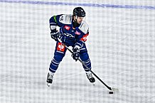 Eishockey, Men, CHL, Champions Hockey League, Regular Saison 2024-25, Game Day 2, Straubing Tigers - Skelleftea AIK, 08.09.2024