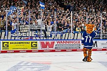 Eishockey, Herren, Penny DEL, 1. Spieltag, Saison 2023-2024, Straubing Tigers - Fischtown Pinguins Bremerhaven,15.09.2023