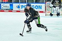 Eishockey, Herren, Penny DEL, 12. Spieltag, Saison 2023-2024, Straubing Tigers - Duesseldorfer EG,20.10.2023