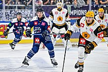 Eishockey, Men, CHL, Champions Hockey League, Regular Saison 2024-25, Game Day 2, Straubing Tigers - Skelleftea AIK, 08.09.2024