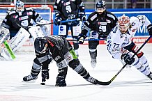 Eishockey, Herren, DEL, Saison 2021-2022, 46. Spieltag, Straubing Tigers - Schwenninger Wild Wings,  13.02.2022
