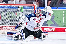Eishockey, Herren, DEL, Penny DEL, Vorbereitung, Gäubodencup 2023, Saison 2023-2024, Straubing Tigers - Nürnberg Ice Tigers,18.08.2023