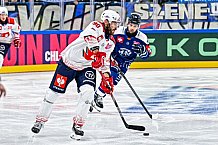 Eishockey, Men, CHL, Champions Hockey League, Regular Saison 2024-25, Game Day 4, Straubing Tigers - Dynamo Pardubice, 15.09.2024