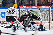 Eishockey, Herren, Penny DEL, 22. Spieltag, Saison 2023-2024, Straubing Tigers - Fischtown Pinguins Bremerhaven,26.11.2023