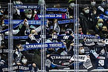 Eishockey, Herren, DEL, Saison 2021-2022, 39. Spieltag, Straubing Tigers - Grizzlys Wolfsburg,  18.02.2022