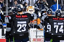 Eishockey, Herren, DEL, Saison 2021-2022, 19.10.2021