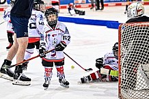 Eishockey, Herren, Penny DEL, DEL, Saison 2022-2023, Hauptrunde, Straubing Tigers - Grizzlys Wolfsburg, 27. Spieltag, 04.12.2022