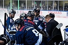 Eishockey, Herren, DEL, Saison 2021-2022, Straubing Tigers - Adler Mannheim, 10.09.2021