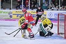 Herren, Eishockey, Oberliga-Süd, DEB, Saison 2024-2025, Deggendorfer SC - Tölzer Löwen, 22.09.2024
