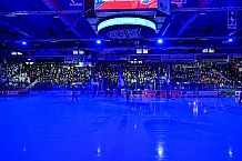 Eishockey, Herren, Penny DEL, 44. Spieltag, Saison 2023-2024, Straubing Tigers - Adler Mannheim,04.02.2024