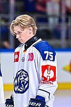 Eishockey, Men, CHL, Champions Hockey League, Regular Saison 2024-25, Game Day 1, Straubing Tigers - SonderjyskE Vojens, 06.09.2024