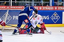 Eishockey, Herren, CHL, Champions Hockey League, Saison 2022-2023, Achtelfinale, Straubing Tigers - Frölunda HC Göteborg, Rückspiel, 22.11.2022