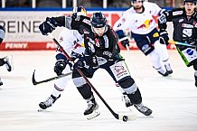 Eishockey, Herren, DEL, Saison 2021-2022, 49. Spieltag, Straubing Tigers - EHC Red Bull München,  27.02.2022