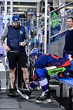 Eishockey, Herren, Penny DEL, DEL, Saison 2022-2023, Playoffs, Viertelfinale, Spiel 3, Straubing Tigers - Grizzlys Wolfsburg, 19.03.2023