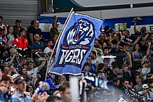 Eishockey, Men, CHL, Champions Hockey League, Regular Saison 2024-25, Game Day 1, Straubing Tigers - SonderjyskE Vojens, 06.09.2024