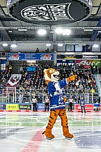 Eishockey, Herren, Penny DEL, 11. Spieltag, Saison 2023-2024, Straubing Tigers - Koelner Haie,15.10.2023