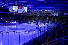 Eishockey, Herren, Penny DEL, 17. Spieltag, Saison 2023-2024, Straubing Tigers - EHC Red Bull Muenchen,03.11.2023