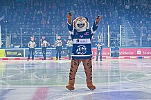 Eishockey, Herren, Penny DEL, 29. Spieltag, Saison 2023-2024, Straubing Tigers - Schwenninger Wild Wings,21.12.2023