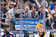 Eishockey, Men, CHL, Champions Hockey League, Regular Saison 2024-25, Game Day 2, Straubing Tigers - Skelleftea AIK, 08.09.2024