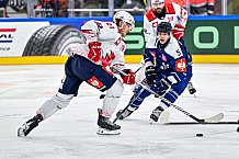 Eishockey, Men, CHL, Champions Hockey League, Regular Saison 2024-25, Game Day 4, Straubing Tigers - Dynamo Pardubice, 15.09.2024