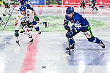 Eishockey, Herren, Penny DEL, 40. Spieltag, Saison 2023-2024, Straubing Tigers - Augsburger Panther,21.01.2024