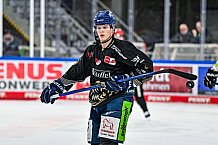 Eishockey, Herren, Penny DEL, 22. Spieltag, Saison 2023-2024, Straubing Tigers - Fischtown Pinguins Bremerhaven,26.11.2023