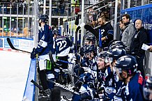 Eishockey, Herren, DEL, Saison 2021-2022, Straubing Tigers - Adler Mannheim, 10.09.2021