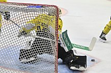 Herren, Eishockey, Oberliga-Süd, DEB, Saison 2024-2025, Deggendorfer SC - Tölzer Löwen, 22.09.2024
