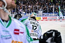 Eishockey, Herren, Penny DEL, DEL, Saison 2022-2023, Hauptrunde, Straubing Tigers - Bietigheim Steelers, 53. Spieltag, 16.02.2023
