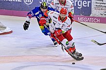 Herren, Eishockey, Oberliga-Sued, DEL2, Saison 2023-2024, DEB, Deggendorfer SC - Selber Woelfe, Vorbereitung, Niemeier Cup 2023, Halbfinale, 02.09.2023