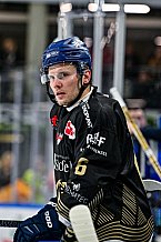 Eishockey, Herren, Penny DEL, 52. Spieltag, Saison 2023-2024, Straubing Tigers - Grizzlys Wolfsburg,08.03.2024
