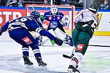 Eishockey, Herren, CHL, Champions Hockey League, Saison 2022-2023, Achtelfinale, Straubing Tigers - Frölunda HC Göteborg, Rückspiel, 22.11.2022