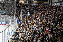 Eishockey, Herren, Penny DEL, 17. Spieltag, Saison 2023-2024, Straubing Tigers - EHC Red Bull Muenchen,03.11.2023