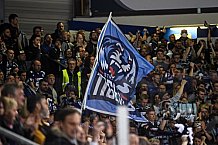 Eishockey, Herren, DEL, Saison 2021-2022, Playoff, Viertelfinale, Spiel 3, Straubing Tigers - Adler Mannheim, 14.04.2022
