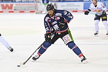 Eishockey, Herren, DEL, Saison 2020-2021, Straubing Tigers - EHC Red Bull München, 22.02.2021
