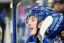 Eishockey, CHL, Champions Hockey League, 3. Spieltag, Saison 2022-2023, Gruppe F, Straubing Tigers - Comrach Cracovia, 09.09.2022