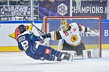 Eishockey, Men, CHL, Champions Hockey League, Regular Saison 2024-25, Game Day 2, Straubing Tigers - Skelleftea AIK, 08.09.2024