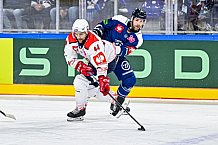 Eishockey, Men, CHL, Champions Hockey League, Regular Saison 2024-25, Game Day 4, Straubing Tigers - Dynamo Pardubice, 15.09.2024