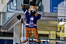 Eishockey, Herren, Penny DEL, DEL, Saison 2022-2023, Playoffs, Viertelfinale, Spiel 5, Straubing Tigers - Grizzlys Wolfsburg, 24.03.2023